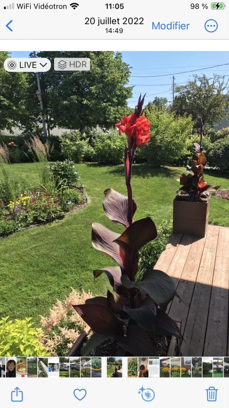 Oasis De La Riviere Διαμέρισμα Chicoutimi Εξωτερικό φωτογραφία
